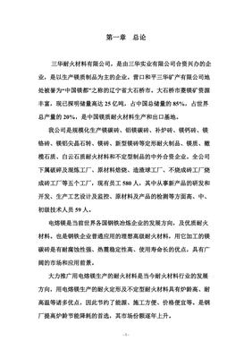 年產六萬噸電熔鎂生產線可研報告