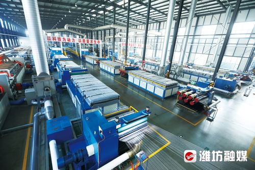 濰坊高密 產業聚 鏈 成勢 園區向 新 發力